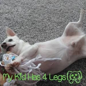 Meet your Posher, Sandy